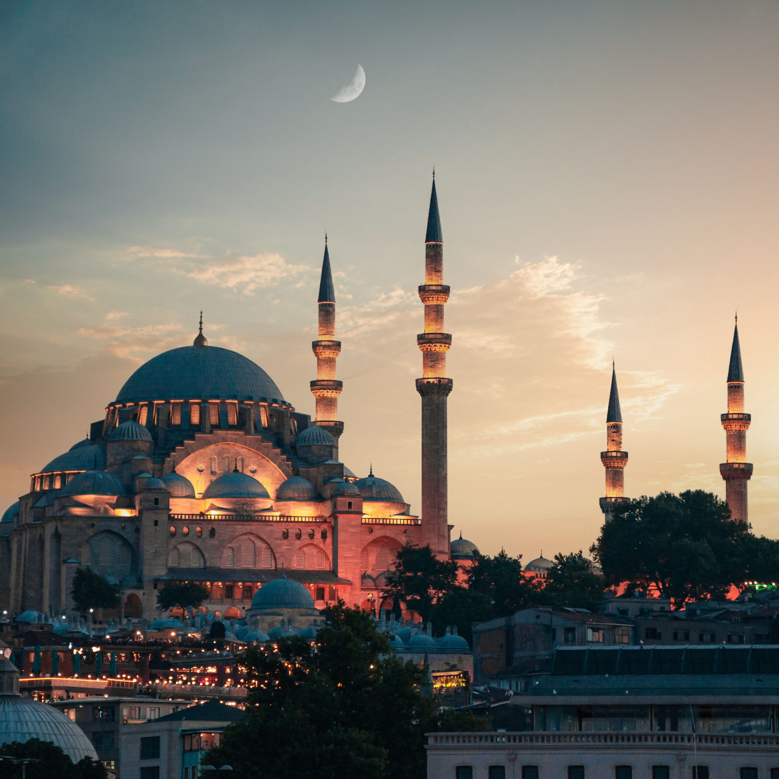 pexels-ahmedmulla-8832092